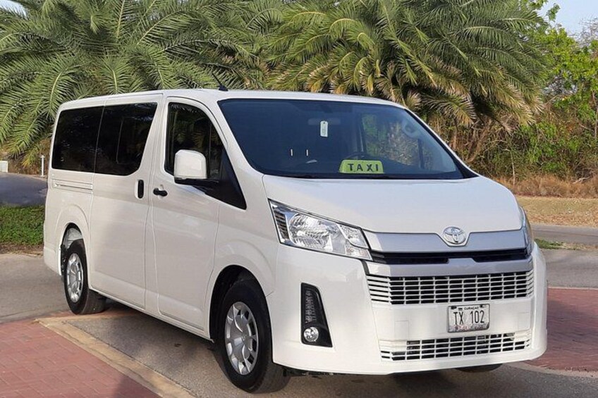 12 passenger van 4