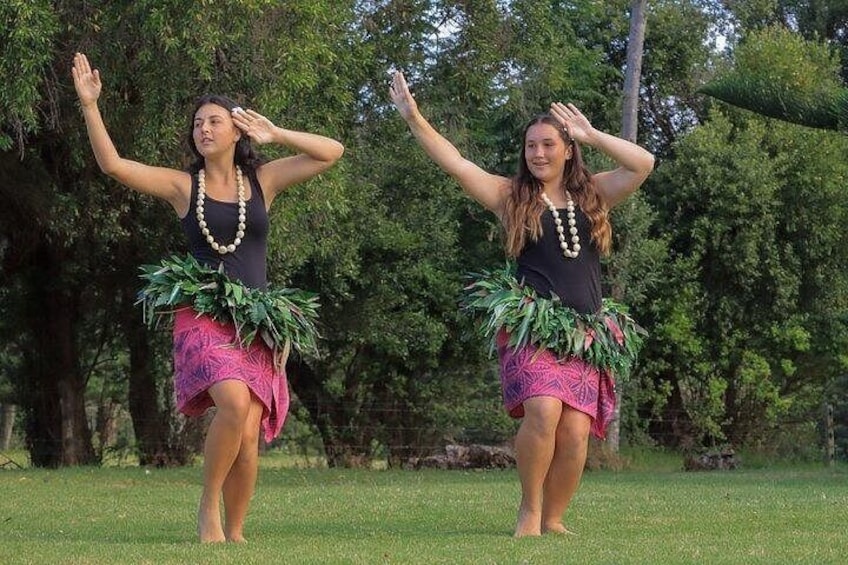 Two individuals performing a dance with leis around their necks in a grassy outdoor area with trees in the background. 2