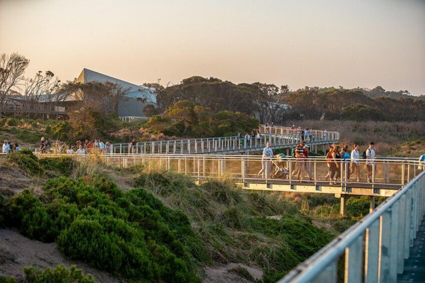 Full-Day Phillip Island Tour with Kangaroo, Koala and Penguin Parade 2