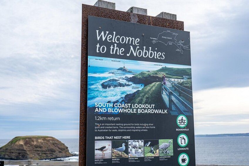 Full-Day Phillip Island Tour with Kangaroo, Koala and Penguin Parade 2