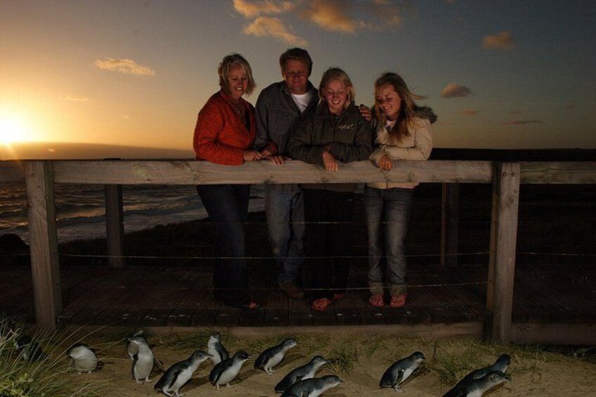 Family at the Penguin Parade 2