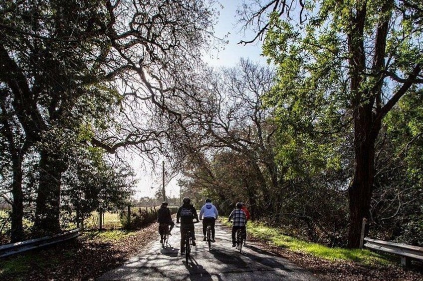 Half Day Bike Tour 2