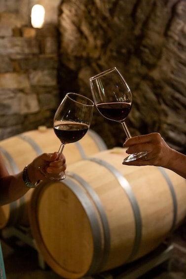 Picture 29 for Activity Lake Como: Winery Tour with Wine Tasting 2