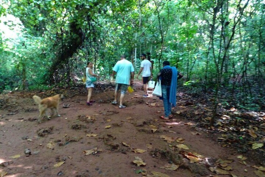 The Cabarete Caves