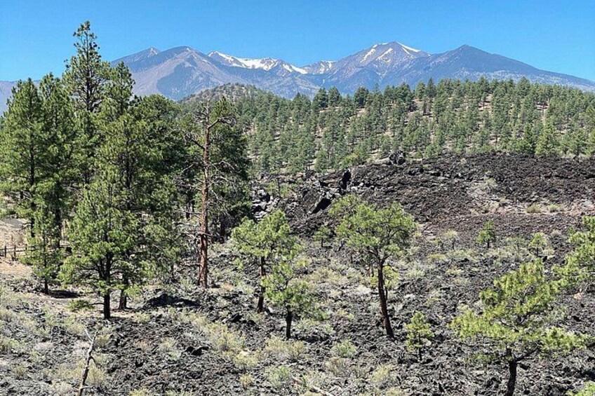 View of the San Francisco Peaks and Bonito Lava Flow in Sunset Crater Volcano National Monument near Flagstaff, Arizona 3