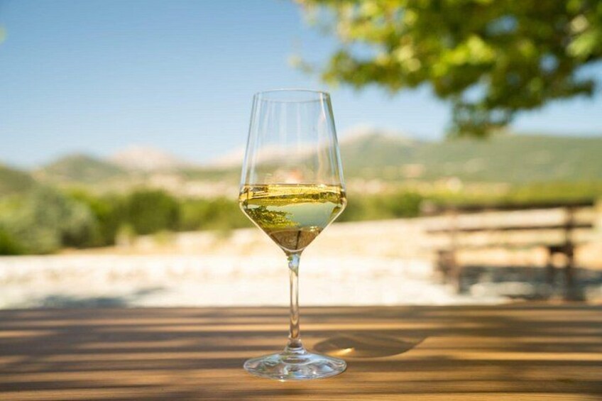 Una copa de vino sobre una mesa de madera, con un paisaje desenfocado al fondo. 2