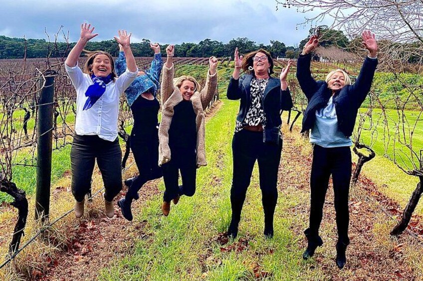 Four people jumping in a vineyard. 2