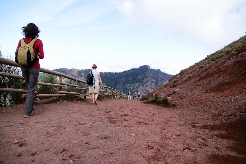 Picture 1 for Activity From Sorrento: Pompeii and Vesuvius Tour 3