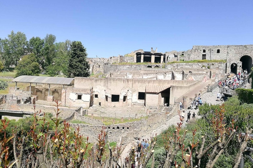 Picture 4 for Activity From Sorrento: Pompeii and Vesuvius Tour 2