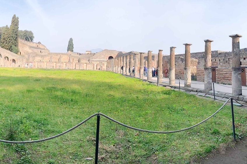 Picture 3 for Activity From Sorrento: Pompeii and Vesuvius Tour 5