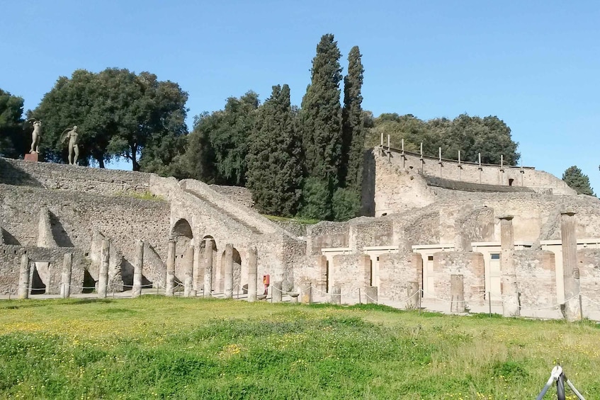 Picture 5 for Activity From Sorrento: Pompeii and Vesuvius Tour 4