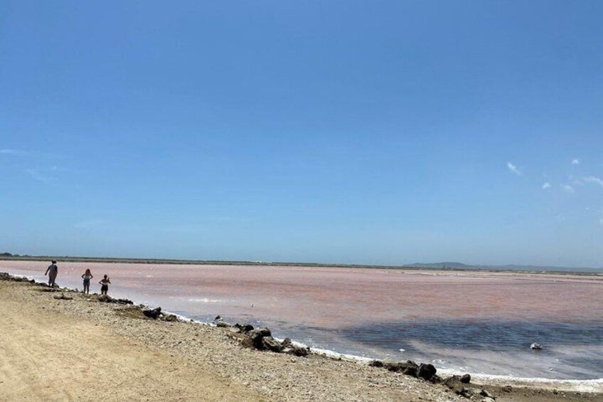 Una playa con un cuerpo de agua rosado, cielo despejado y algunas personas de pie en la orilla. 2