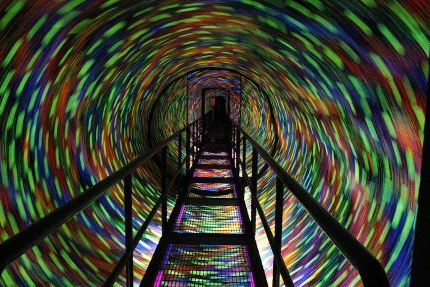 8 Attractive: Aquarium And Museums Included (in Veracruz) 2