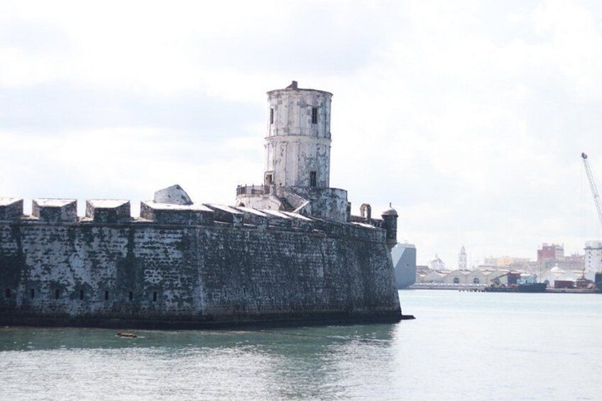 8 Attractive: Aquarium And Museums Included (in Veracruz) 2