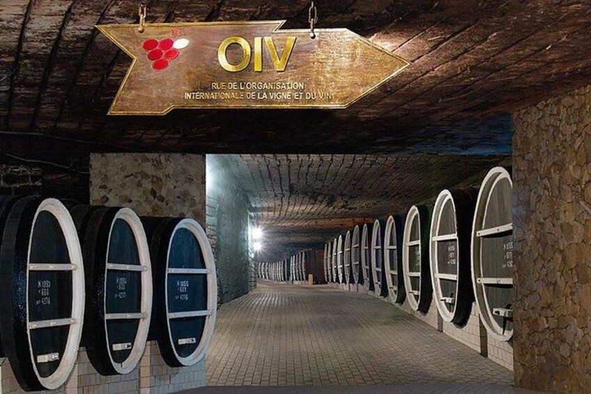 Milestii Mici Winery - the largest wine cellar in the world 1
