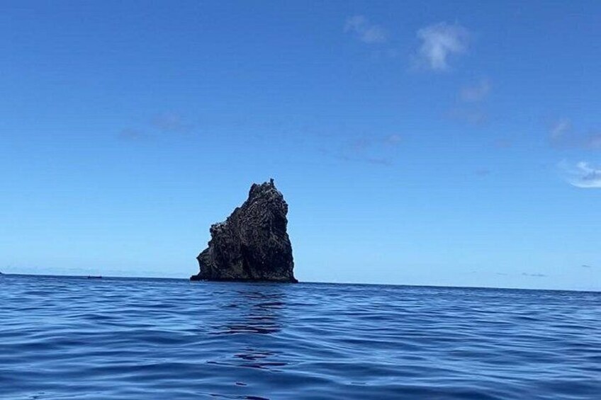 Tour to the Motus: Boat trip and snorkeling in Rapa Nui 4