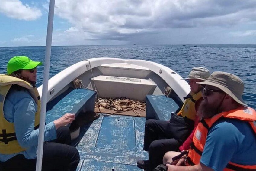 Tour to the Motus: Boat trip and snorkeling in Rapa Nui 2
