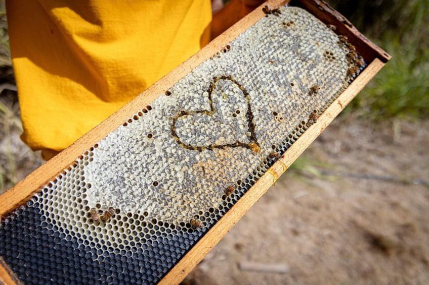 Ein Bienenwabenrahmen mit einem herzförmigen Wachsmuster, gehalten von einer Person in gelber Kleidung. 3