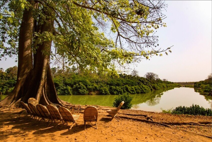 Day Trip to the Sine-Saloum Realm (Joal-Fadiouth-Mar Lodji) 2