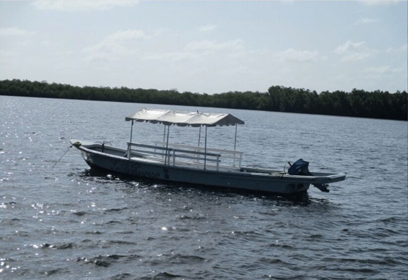 Picture 5 for Activity Day Trip to the Sine-Saloum Realm (Joal-Fadiouth-Mar Lodji) 3