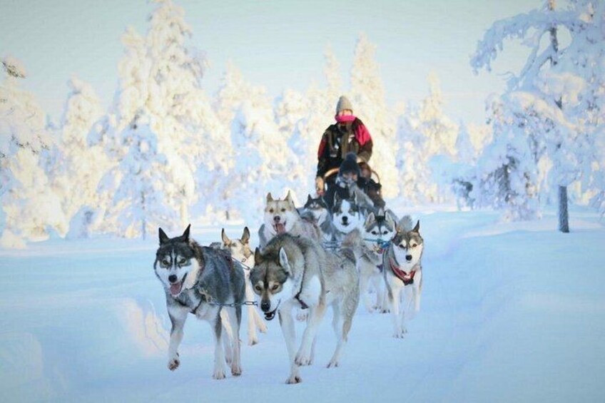 A group of huskies pulling a sled in a snowy landscape. 1