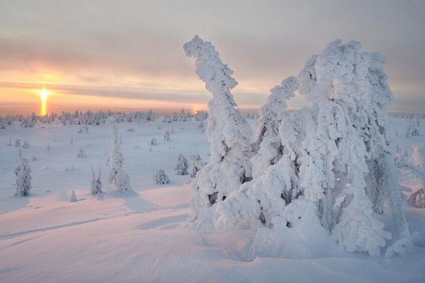 A snowy landscape with trees covered in snow and a sunset in the background. 5