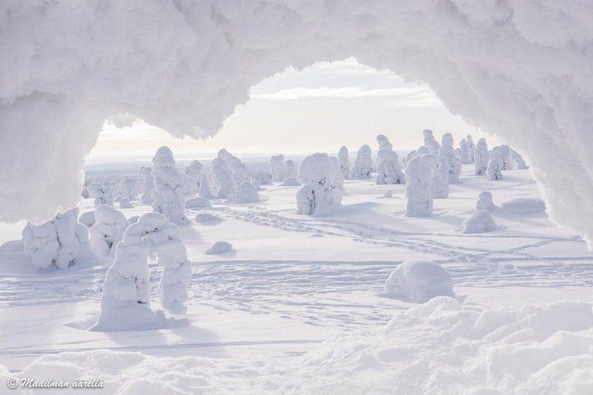 A snowy landscape with snow-covered trees and a large snow arch. 1