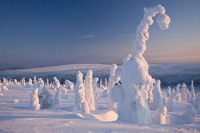 A snowy landscape with snow-covered trees and a clear sky. 4