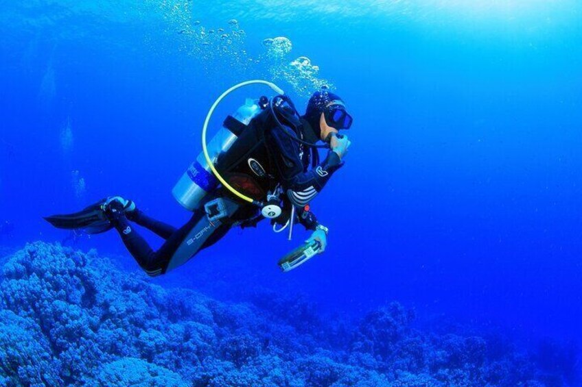 Kusadasi Scuba Diving Tour By Local Experts