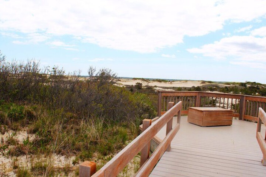 Beautiful Cape Cod Barrier Beach 2