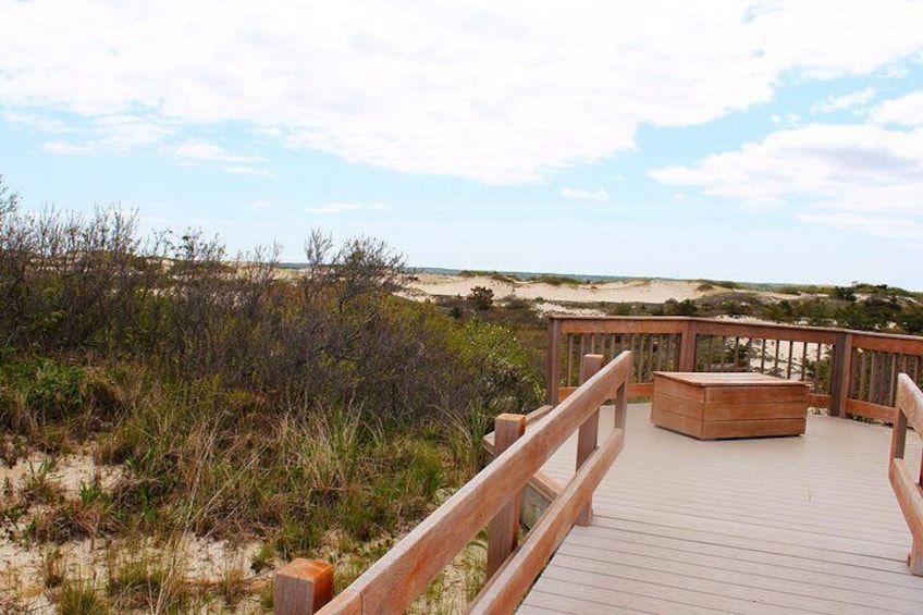 En træterrasse med bænk og kiste, med udsigt over en strand med klitter og sparsom vegetation. 2