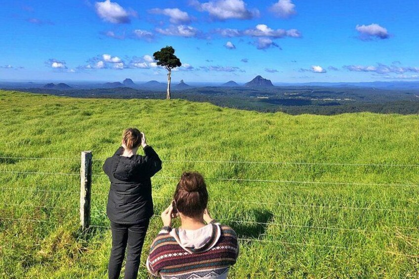 Sunshine Coast Hinterland Highlights: Discover Maleny & Montville 3