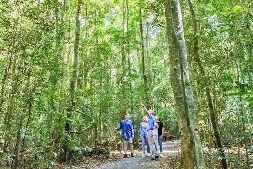 Sunshine Coast Hinterland Highlights: Discover Maleny & Montville 2