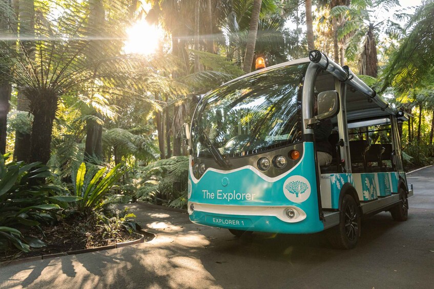 A turquoise and white bus named "The Explorer" with the number 1, parked on a road surrounded by lush greenery and ferns. 1