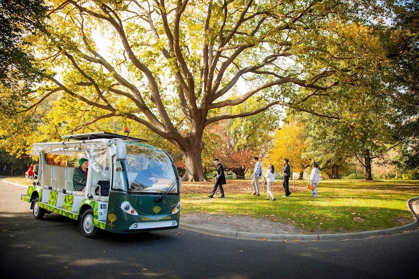 A green and white food truck parked on a street with people walking in a park. 2