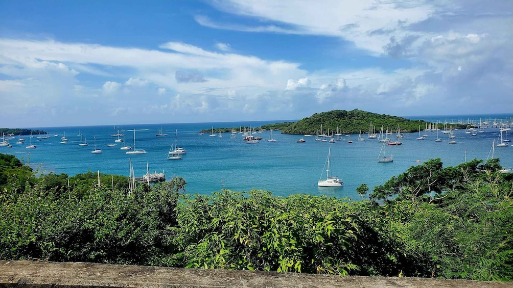 Picture 3 for Activity Grenada: Half-Day Island Tour with Waterfall Swim Stop 2