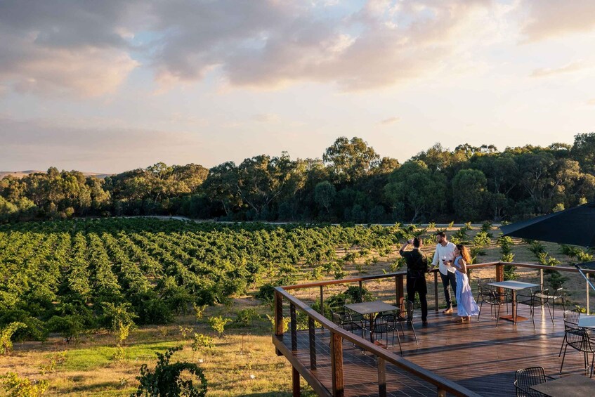 Picture 9 for Activity Barossa Wine Tour, Max 6, Boutique Wineries & Fabulous Lunch 2