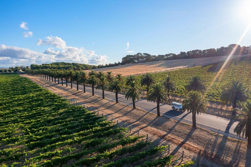 Picture 2 for Activity Barossa Wine Tour, Max 6, Boutique Wineries & Fabulous Lunch 3