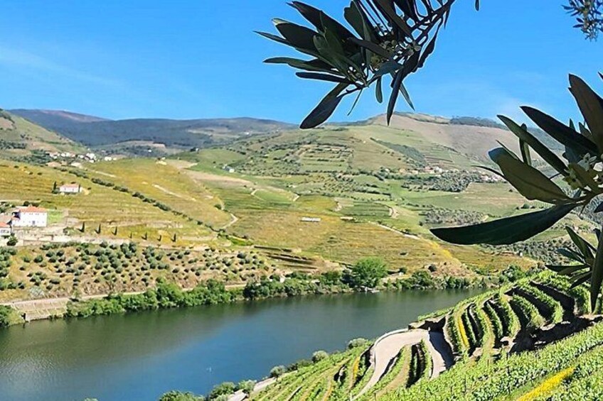 Private Douro Valley Tour (2 wineries + boat) 2