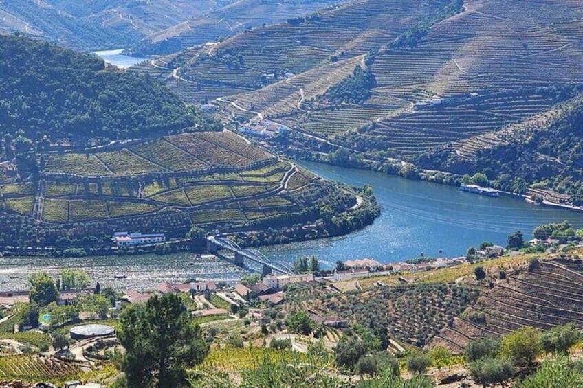 Private Douro Valley Tour (2 wineries + boat) 5