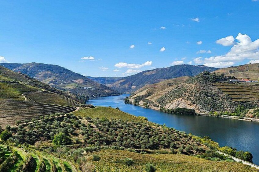 Private Douro Valley Tour (2 wineries + boat) 1
