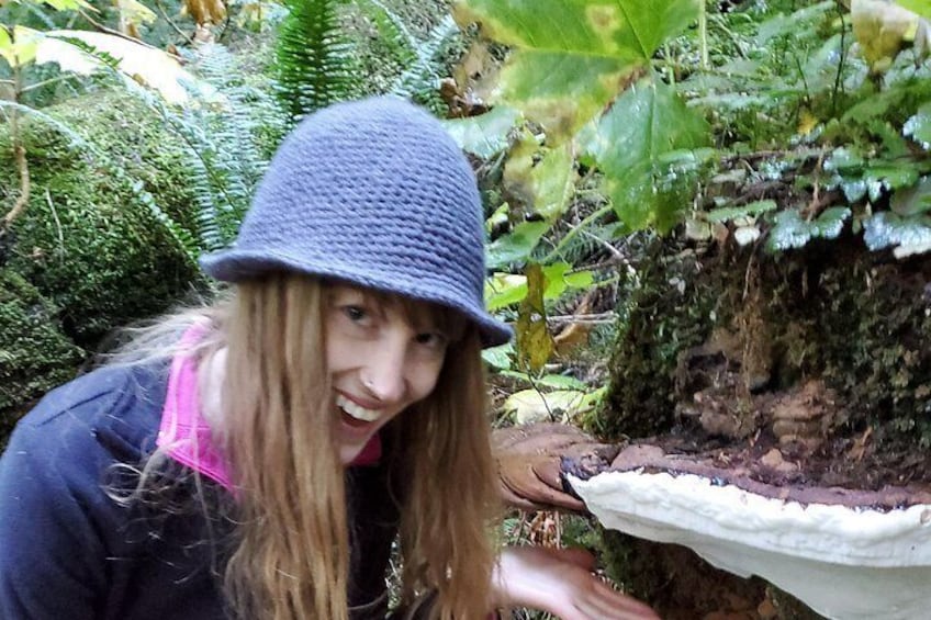 Private Rocky Mountain Foraging Experience 2