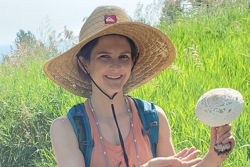 Private Rocky Mountain Foraging Experience 3