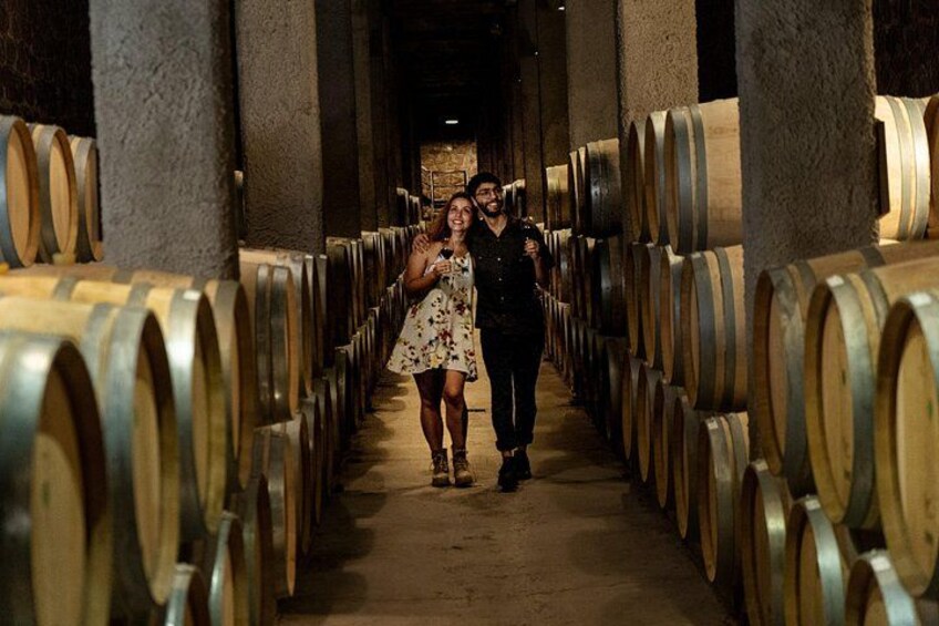 Ultimate Maipú Adventure: Winery Tour & Gourmet Lunch 4