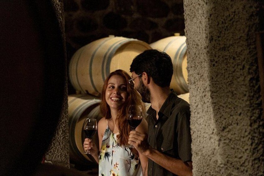 Ultimate Maipú Adventure: Winery Tour & Gourmet Lunch 3