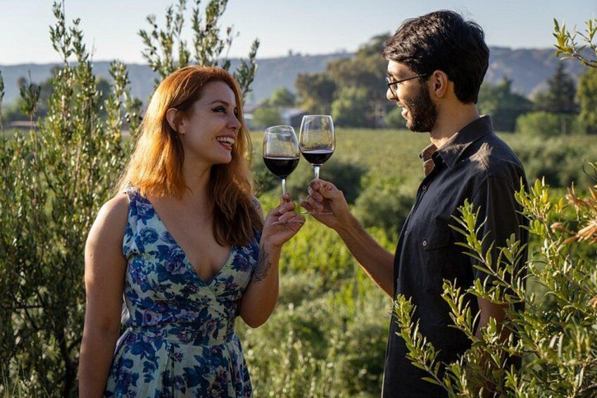 Ultimate Maipú Adventure: Winery Tour & Gourmet Lunch 1