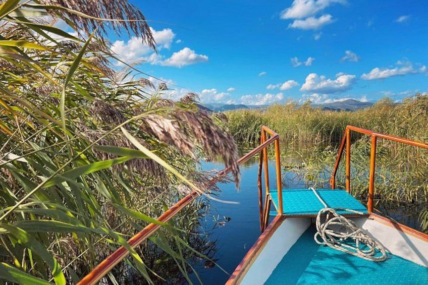 A boat docked at a calm water body surrounded by dense vegetation. 5