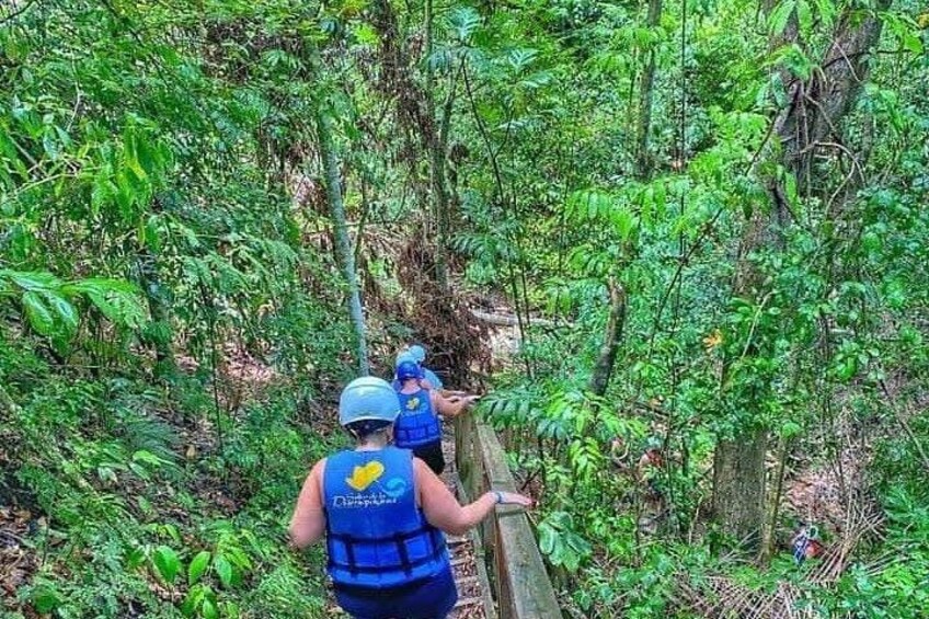 Two people hiking on a narrow trail surrounded by dense forest. 3