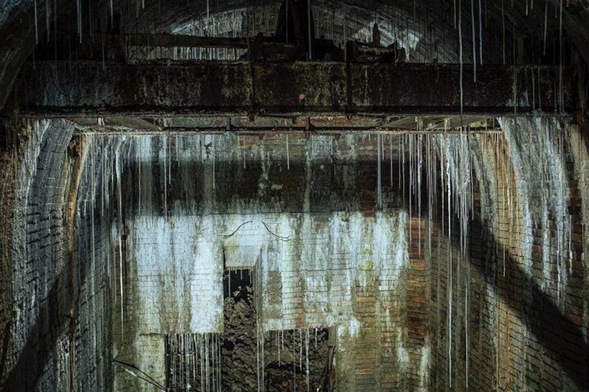 Section of the original Copyright Dan Winters Photography. 4
