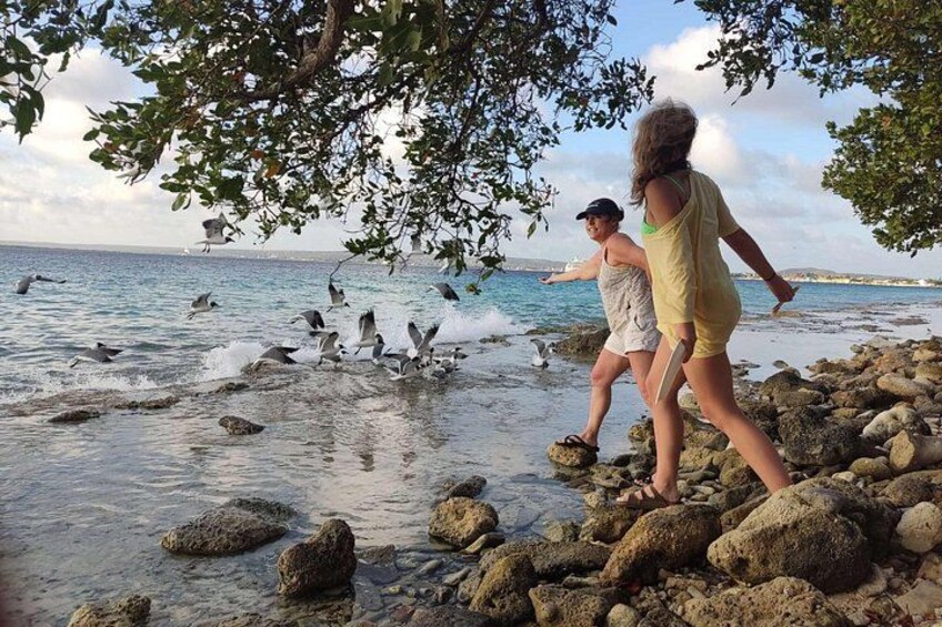 Two people walking on a rocky beach with birds flying around. 2